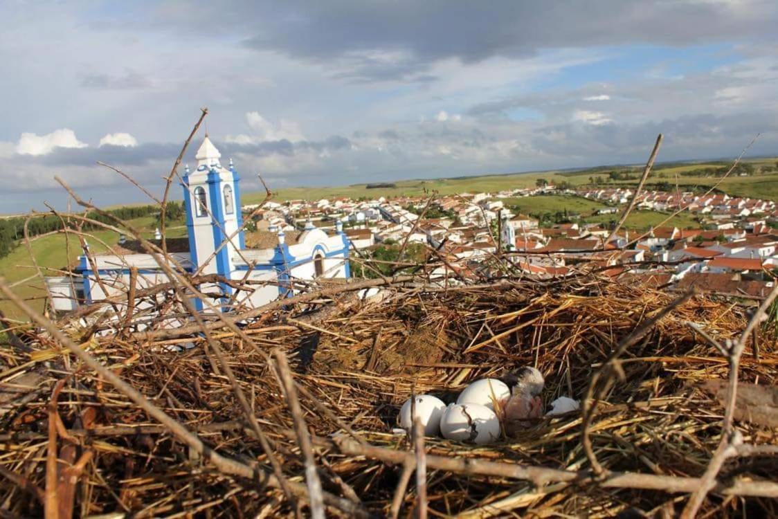 A Praia Da Messejana Luaran gambar